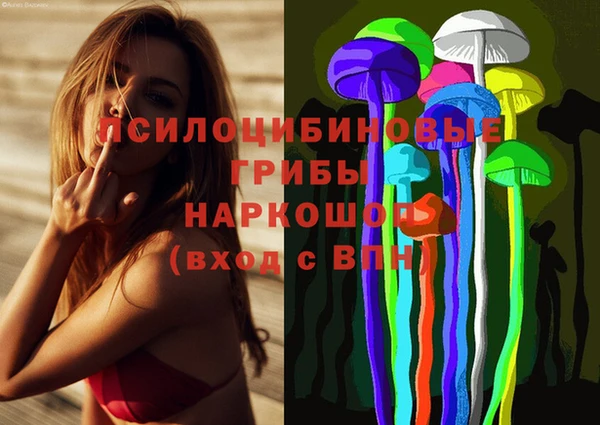 a pvp Краснослободск