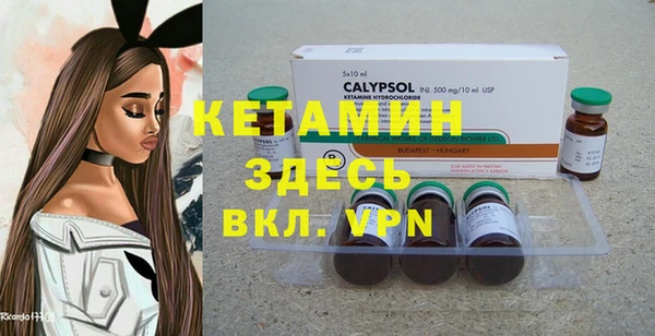 крисы Вязьма
