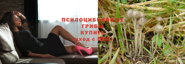 a pvp Краснослободск