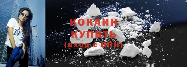 индика Костерёво