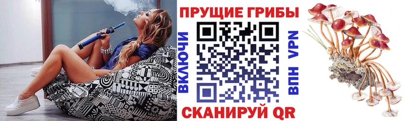 Псилоцибиновые грибы мухоморы  Омутнинск 
